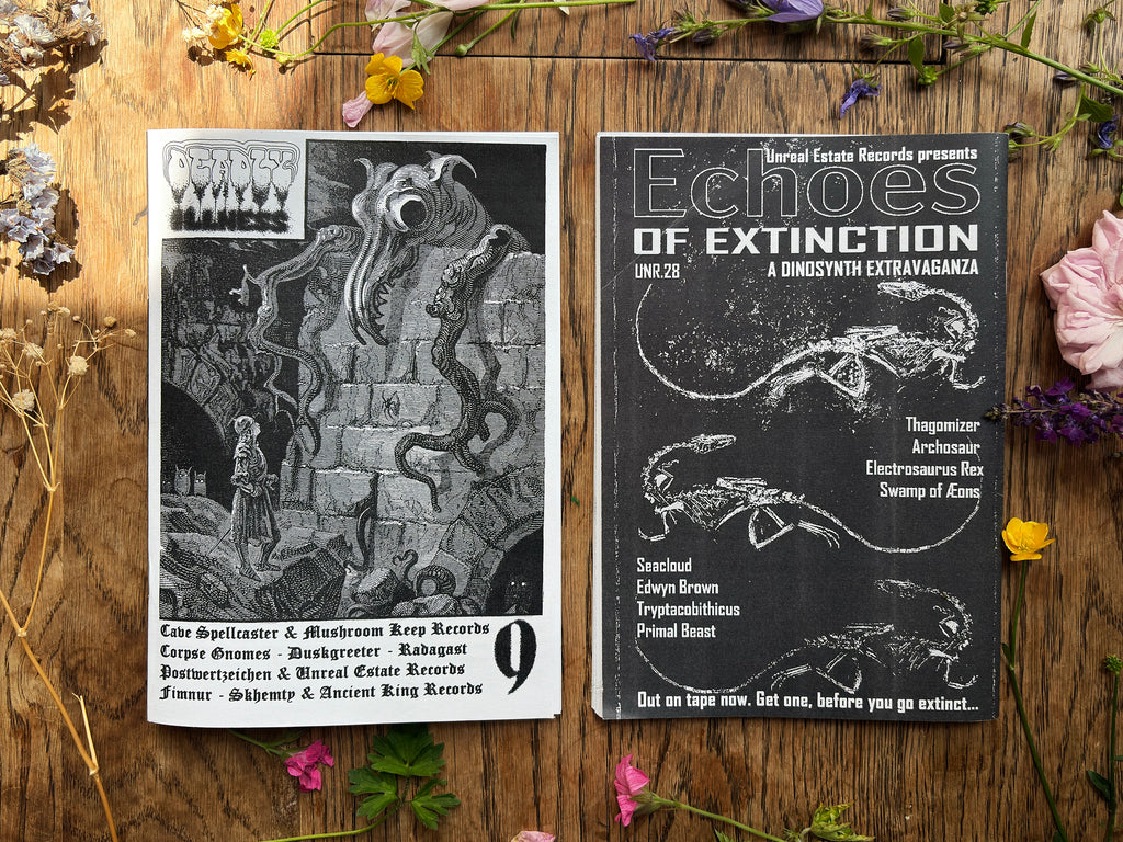 Deadly Illness Zine #9