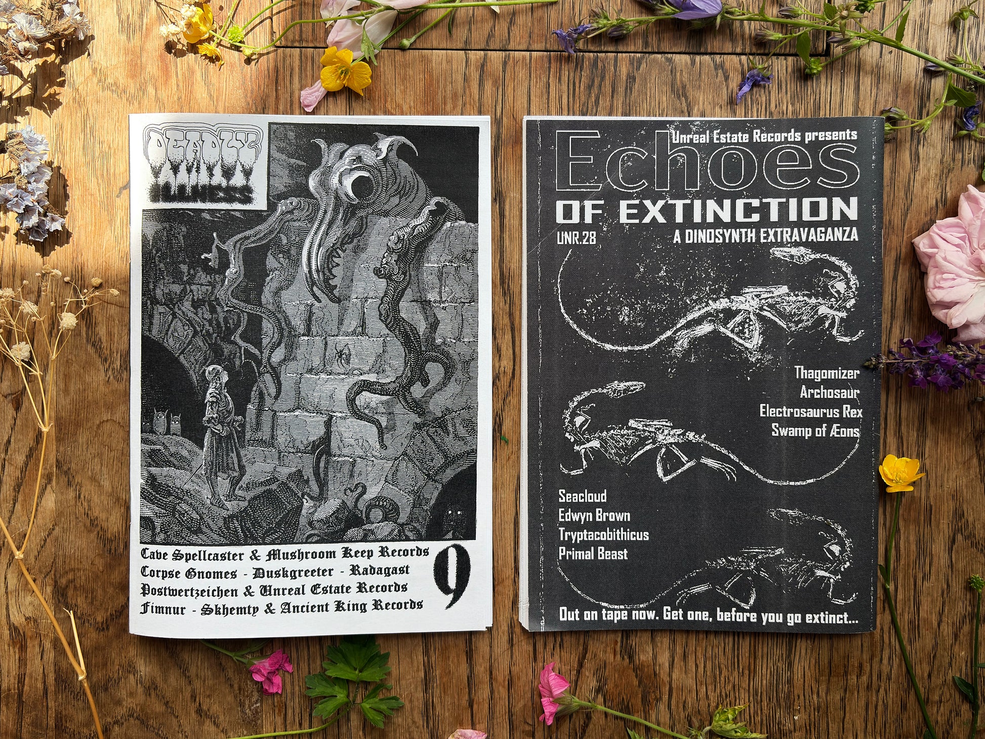 Deadly Illness Zine #9