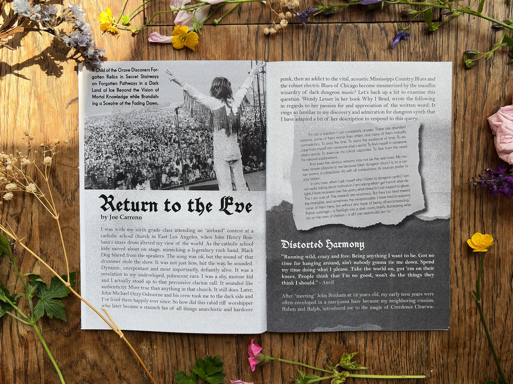 Deadly Illness Zine #9