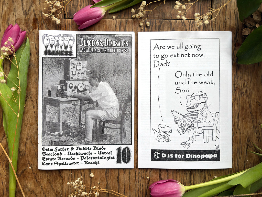 Deadly Illness Zine #10