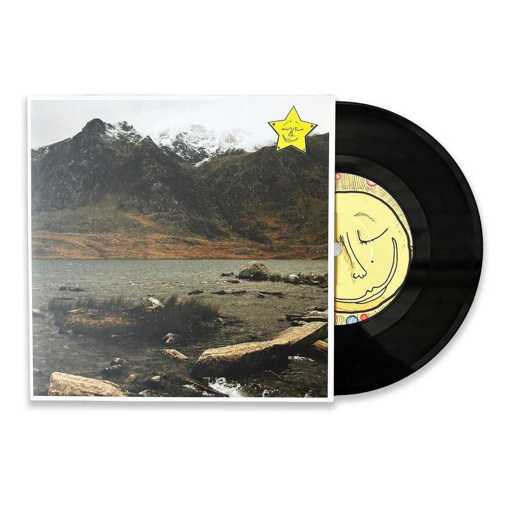 'Good Girl / Amazing Discovery' 7" Single (Wildeflower)